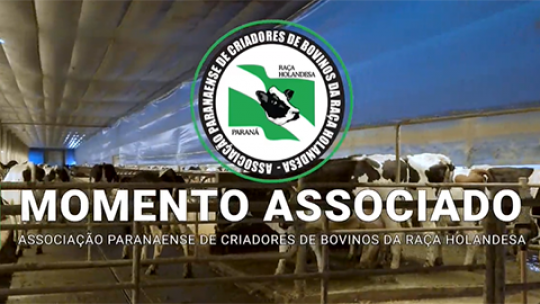 Associado do mês APCBRH | Destaque com Vacas Recordistas Nacionais homologadas pela ABCBRH